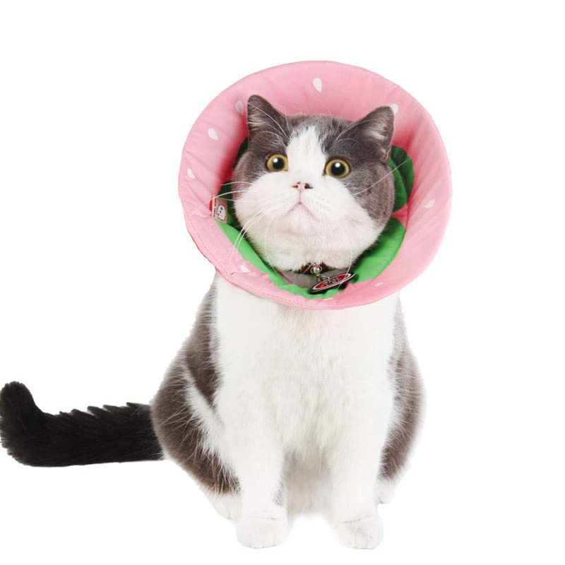 Amazon | エリザベスカラー 猫用 ペットの回復首輪 軽量 術後傷口保護